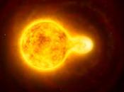 sistema binario forma arachide