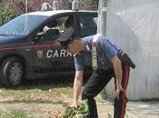 Siracusa: arrestati siracusani aver rubato chili fave, altri arresti “furto” rami delle palme