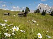 Vacanze ecosostenibili: muoversi senza auto all’Alpe Siusi