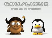 Linux nelle Scuole italiane: petizione pagare software proprietaro.