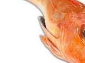 Gallinelle mediterranee microonde