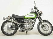 Kawasaki W800 Scrambler Earnshaws Motorcycles