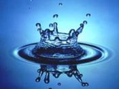 21/03/2014 Giornata Mondiale dell'Acqua progetto &quot;L'acqua berremo&amp;quot;