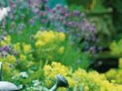 #fioridivenerdì- regalo