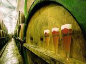 Strada della Birra Repubblica Ceca