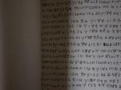 Riccardo Muroni LIBRO BIANCO cura Roberta Vanali Efisio Carbone