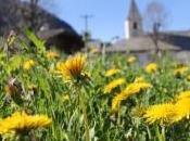 primavera Alto Adige