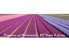 Primavera Bollenstreek