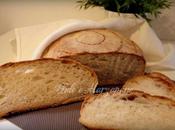 Pane della domenica lievitazione naturale