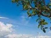 Partecipa premio Good Energy Award