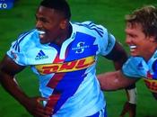 Superugby: Reds Stormers sorriso Sikhumbuzo Notshe