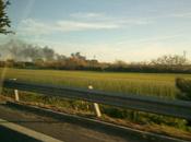 Terra Fuochi brucia (anche parole)