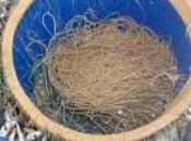 Siracusa: sequestrato nelle acque Plemmirio parangale, micidiale attrezzo pesca trovato piena riserva