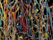 Martin Klimas: ribollire colori Pollock cimatica