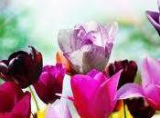 Vien proprio voglia baciarsi.