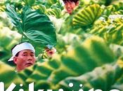 L'estate Kikujiro