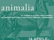 Alla Biblioteca Laurenziana Firenze &quot;Animalia&amp;quot; e... Clafoutis prosciutto noci