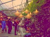 verde Fuori Salone 2014 ‪#‎MDW14‬