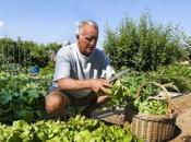Digging Deep, quando l’orto urbano multilingue
