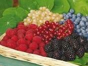 Agricoltura, tavolo tecnico regione-stakeholders