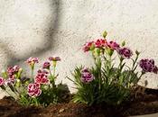 Ching Percorsi Apprendimento Paolo 53.6