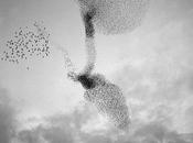 Ching Paolo Sole1 Percorsi Apprendimento 53.2