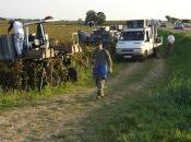 Borgogna annata 2011