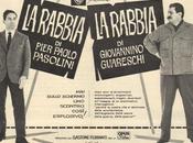 rabbia