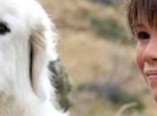 RECENSIONE FREDDO Belle Sébastien