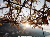 Straccetti esternazioni ....