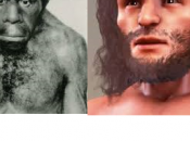 discendiamo dall’uomo Neanderthal ….allora dove proveniamo?