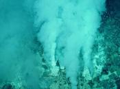 Vita arrivata Mare Brodo Primordiale"