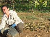 Italia, agricoltura: imprenditori sempre giovani colti