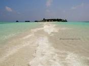 Mammacongelo alle Maldive