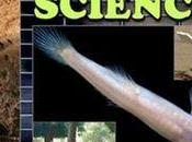 Ambient Science nuova pubblicazione dall’India