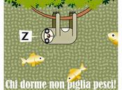 sticazzi n'altra volta...