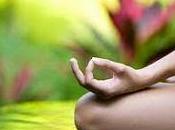 L’elisir lunga vita? Yoga Festival meditazione Merano!