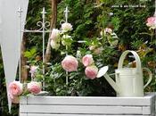 tocco bianco rosa casa fantastica creativa tedesca