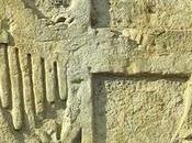 Amos Aimi riprende l'idea museo cittadino lancia appello salvare stemmi palazzo municipale