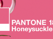 Rosa caprifoglio colore dell’anno 2011