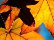 disordini della Memoria Lavoro Visuo-Spaziale: contesto valutazione