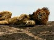 trading come stile vita