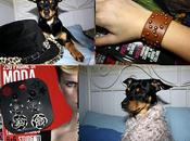 saturday shopping accesorize
