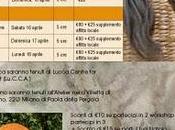 Workshop filatura Milano Lucca