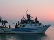 mare, silenzio, l’amore!