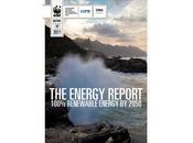 Energy report: rinnovabili rinnovati entro 2050