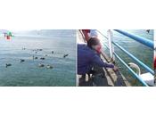 Passeggiata lungo lago