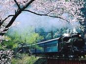 Japan Experience Giappone scorre dietro finestrino treno