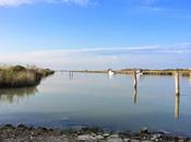 Polesine