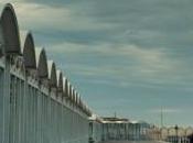 MASSIMILIANO LODOVICO nuova solida realtà futuro cinema italiano